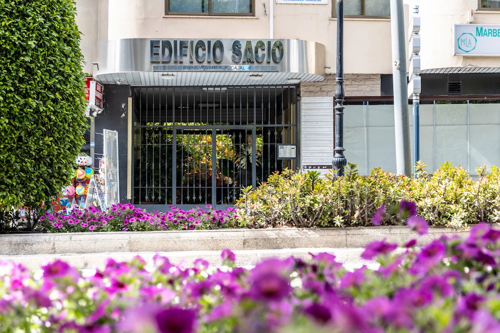 consulta movil